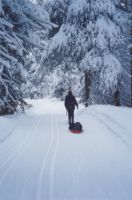 Snow and Sled